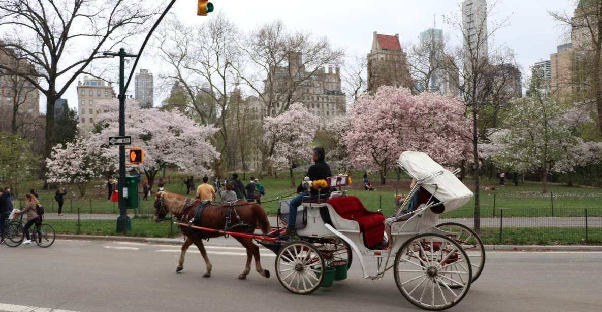 Carriage Ride To/From Tavern on the Green (Up to 4 Adults) - Service Details