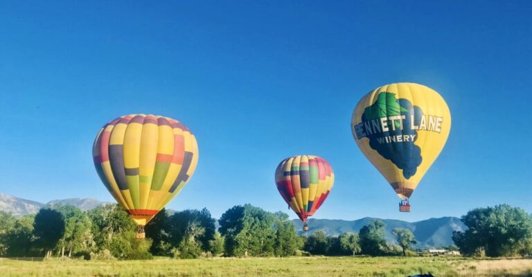 Carson City: Hot Air Balloon Flight Pricing And Availability