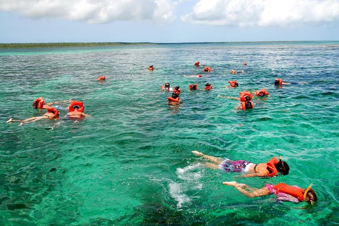 Catalina Island Tour With Snorkelling And Lunch Itinerary And Activities