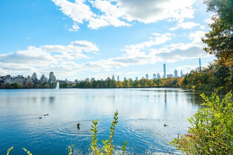 Central Park Film Spots Pedicab Tour Tour Overview And Pricing