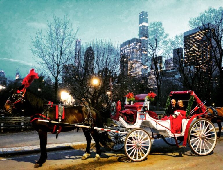 Central Park: Short Horse Carriage Ride (up To 4 Adults) Overview And Pricing