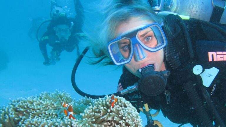 Cesme: Scuba Diving Experience Activity Overview