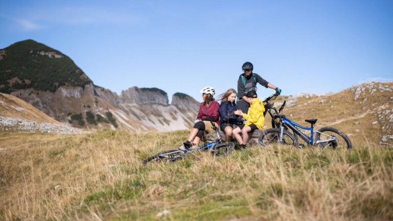 Chambéry: Electric Mountain Bike Rental Activity Details