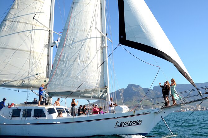 Champagne Cruise (Pre-Sunset) From Cape Town - Practical Details