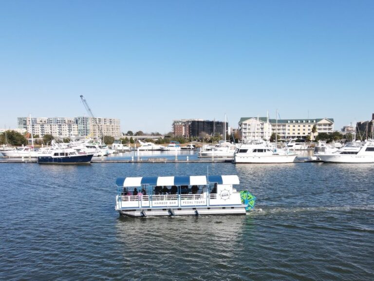 Charleston: Harbor Bar Pedal Boat Party Cruise Overview Of The Cruise