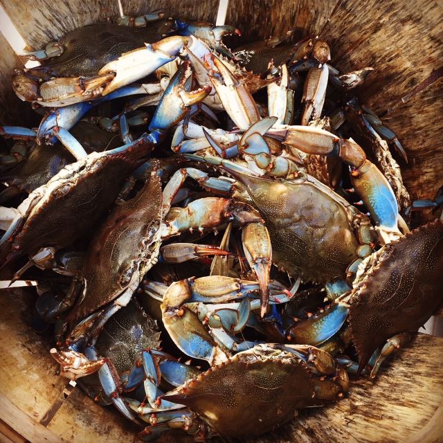 Charleston: Shem Creek Culture Tour Tour Overview