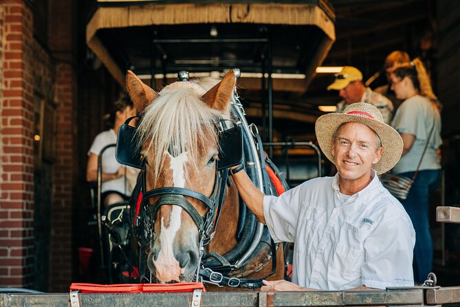 Charleston's Old South Carriage Historic Horse & Carriage Tour - Tour Details and Logistics