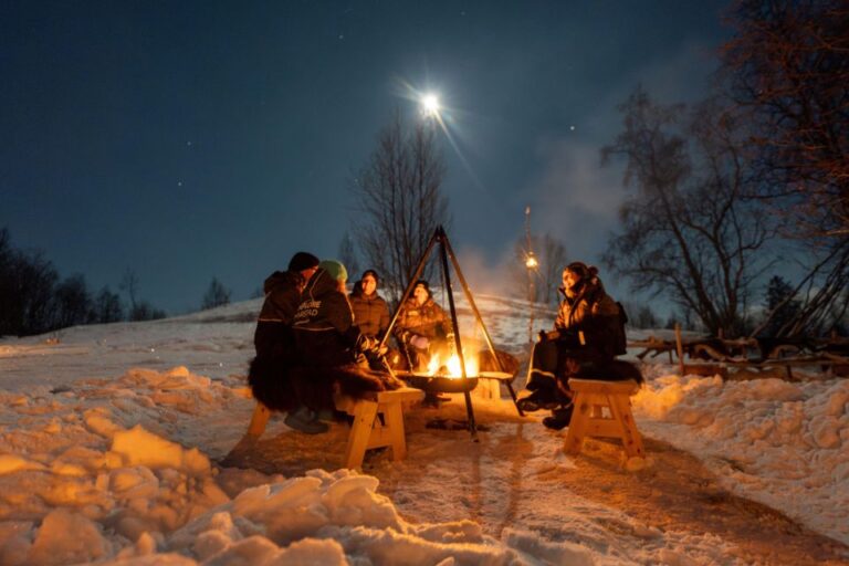 Chasing The Dancing Aurora In Our Winter Camp In Harstad Outdoor Activities And Winter Fun