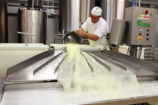 Cheesemaker for a Day & Visit to the Dairy - Experience Highlights