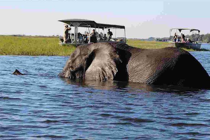 Chobe Extended Day Trip From Victoria Falls Zimbabwe Tour Overview