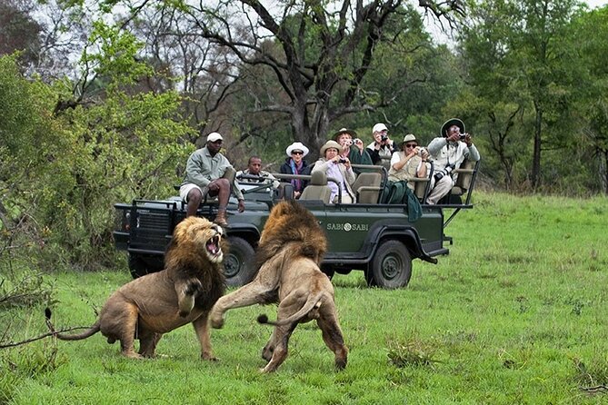 Chobe Full Day Trip Tour Departure And Duration