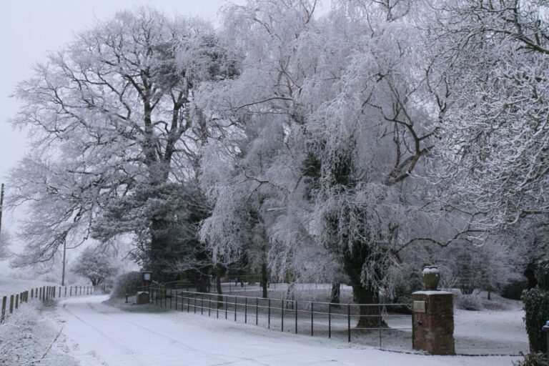 Christmas In Oxford, The Cotswolds And Stratford With Lunch Tour Details