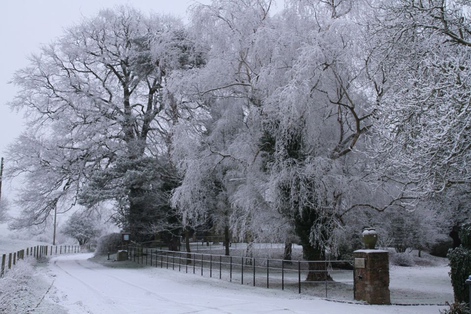 Christmas in Oxford, the Cotswolds and Stratford With Lunch - Tour Details