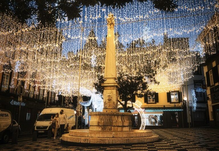 Christmas Lights In Funchal Tuk Tuk Tour Tour Overview And Pricing