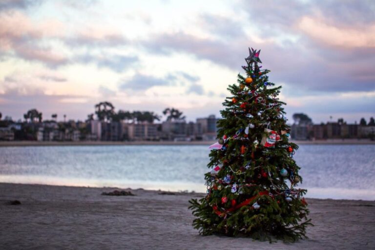 Christmas Time In San Diego – Walking Tour Petco Park Holiday Wonderland