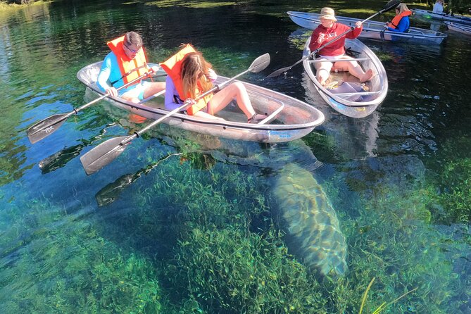 Clear Kayak Manatee Ecotour Of Crystal River Location And Accessibility