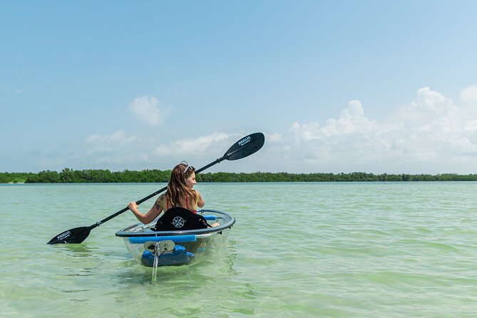 Clear Kayak Tour of Shell Key Preserve and Tampa Bay Area - Tour Overview and Highlights