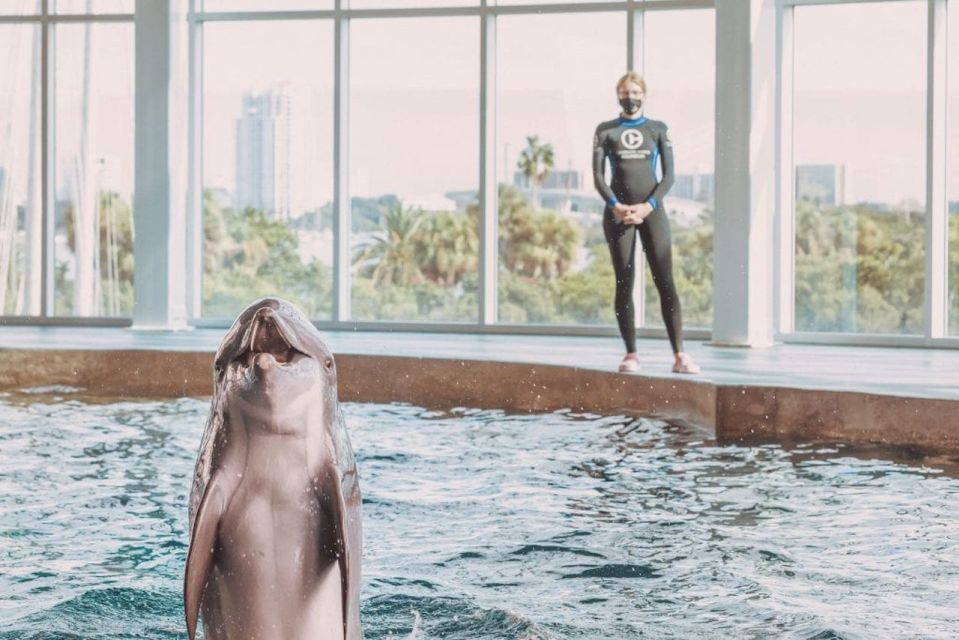 Clearwater: Eco-Certified Marine Aquarium General Admission - Ticket Pricing and Policies