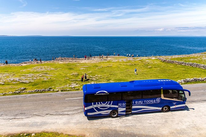 Cliffs Of Moher, Boat Cruise & Aillwee Cave Day Tour From Dublin Overview Of The Tour