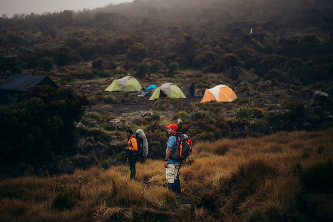 Climbing Kilimanjaro Through 7 Days Machame Route Overview Of The Machame Route