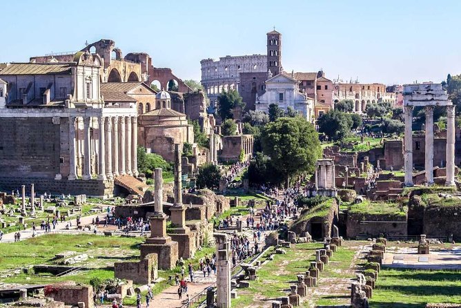 Colosseum, Ancient Forum And Palatine Private Tour With Pick Up Pick Up And Logistics