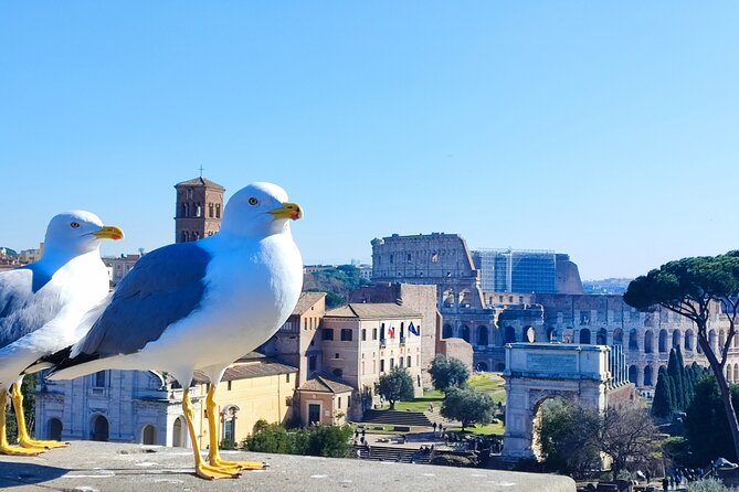 Colosseum Semi Private Tour Full Experience Tour Overview