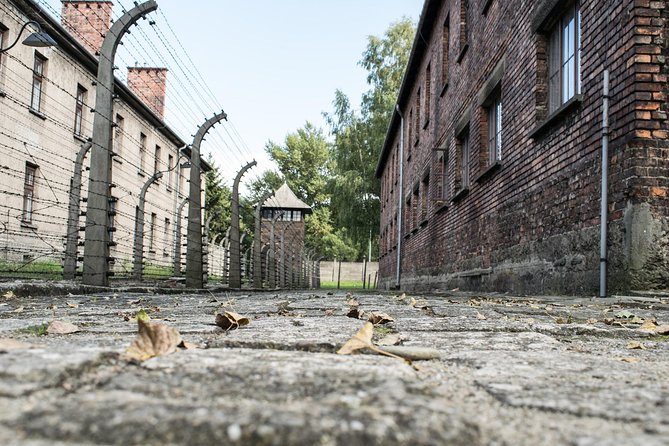 Combined: Auschwitz Birkenau And Salt Mine Private Chauffeur From Krakow Detailed Tour Itinerary