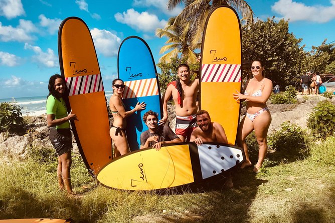 Come and Learn to Surf at the Best Surf Spots in Guadeloupe. - Overview of the Experience