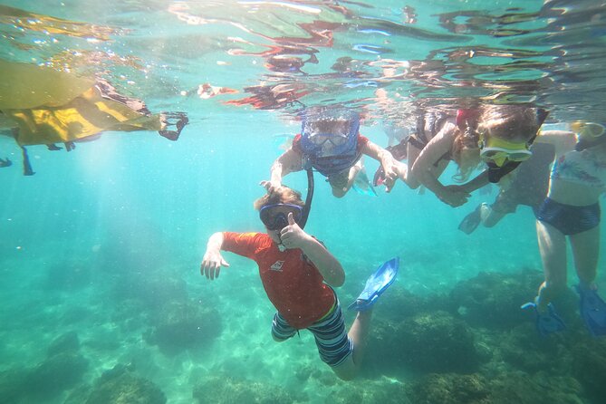 Coral Reef Snorkel Adventure With Photos And Videos Capture Memories Underwater