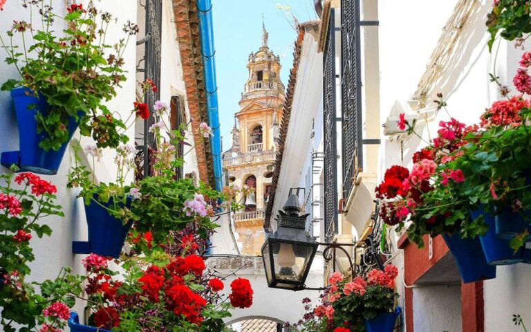 Cordoba: Mosque And Alcazar Private Tour With Tickets Tour Overview