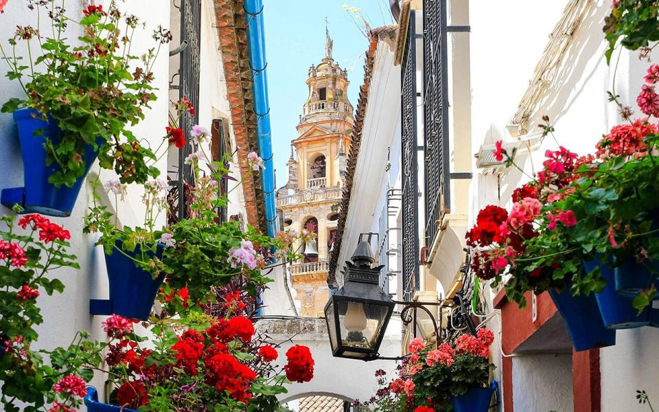 Cordoba: Mosque and Alcazar Private Tour With Tickets - Tour Overview