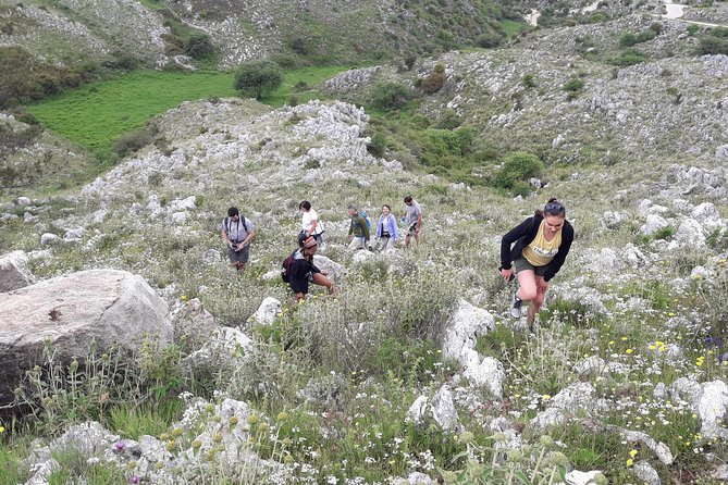 Corfu Countryside Hiking Tour - Tour Overview and Highlights