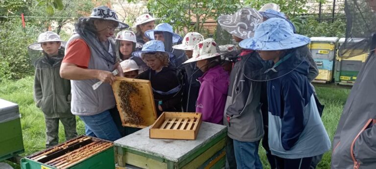 Corund, Hr: Visit To Bee Keeper, Tasting & Hive Opening Activity Overview