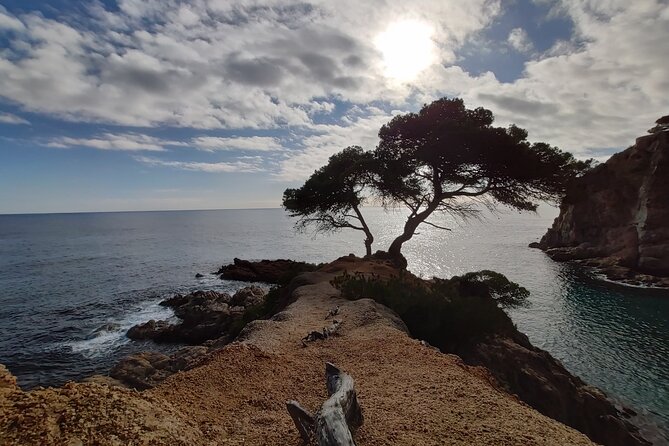 Costa Brava Kayak Experience With Snorkel and Paddle From Barcelona - Overview of the Excursion