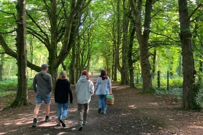 Courtown Woodland Guided Tour Overview Of The Guided Tour