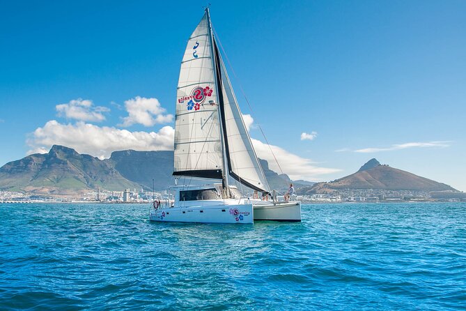 Cruise and Dine Dinner / Cape Town: Sunset Champagne Cruise and 3-Course Dinner - Highlights of the Sunset Cruise