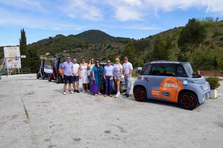 Cruise Terminal Pickup. Malaga In 2 Hours By Electric Car Tour Overview And Pricing