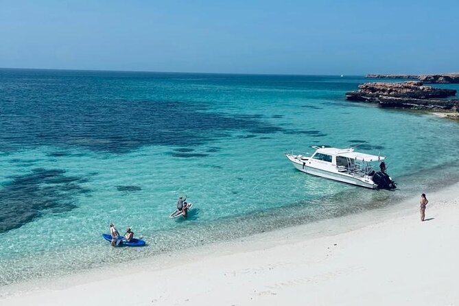 Cruises to Daymaniyat & Snorkeling - Overview of the Tour