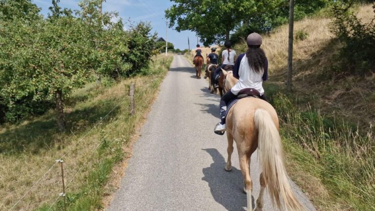 Cruseilles: Horseback Riding In The Countryside Activity Overview