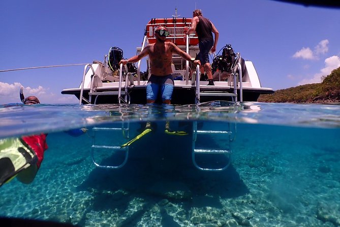 Culebra Snorkeling Day Experience Coral Reefs And Marine Life