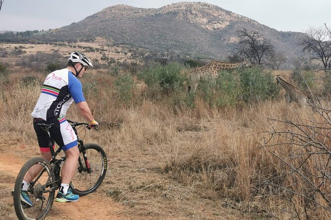 Cycling The Cradle Of Humankind In Game Reserve Tour Overview