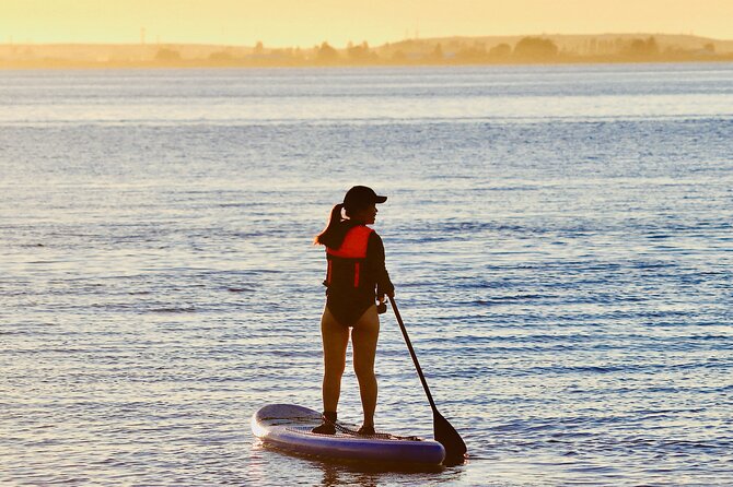 Daily Sup Paddleboard Rentals Package In Metro Vancouver Overview