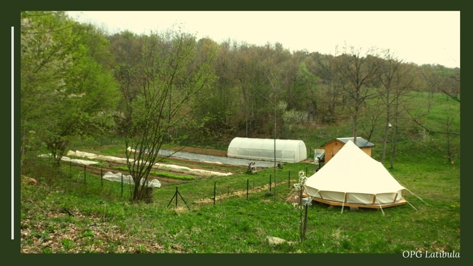 Daily Visit to a Family Farm in Donji Lapac, Lika - Activity Overview