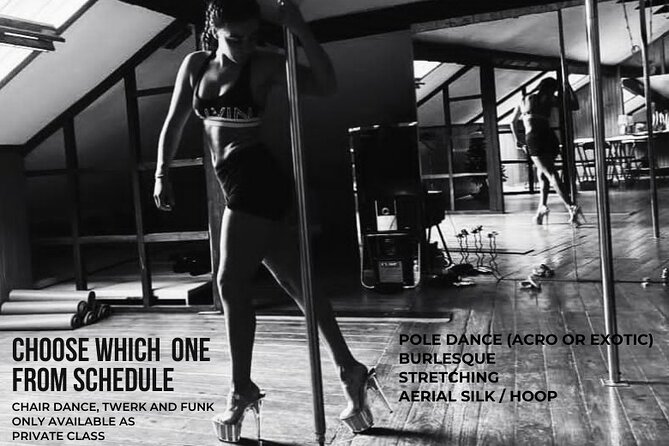 Dance Class (choose 1: Pole Dance, Burlesque Or Aerial Silk/hoop) Overview Of Dance Class Options