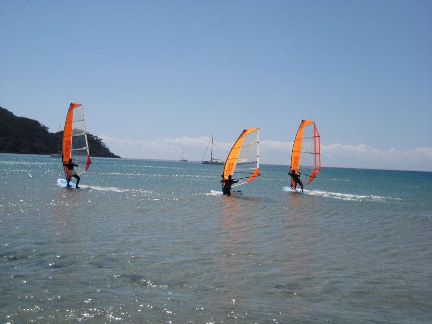 Day 1 Beginner Dynamic Windsurfing in Malmö - Activity Details