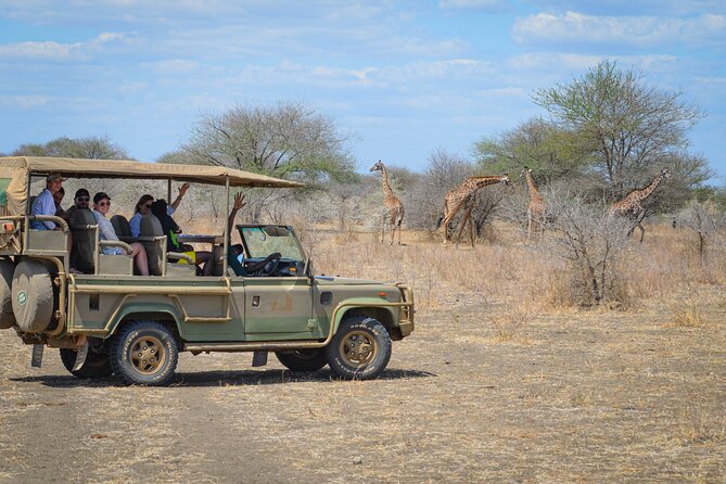 Day Safari Tour Selous Game Reserve Meeting And Pickup