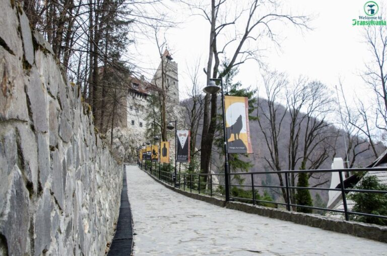 Day Trip Bran Castle, Rasnov Fortress And Bear Sanctuary Tour Overview