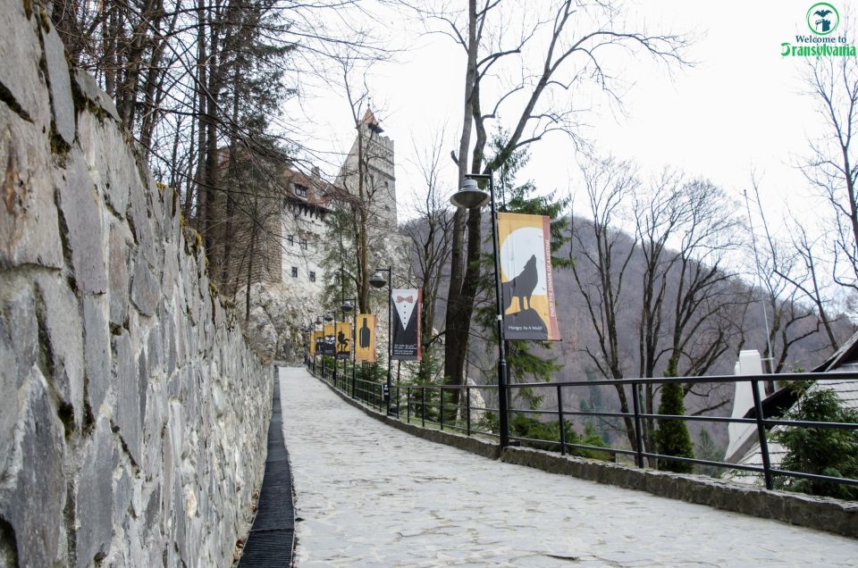 Day Trip Bran Castle, Rasnov Fortress and Bear Sanctuary - Tour Overview