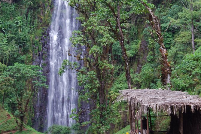 Day Trip Coffee Tour And Materuni Waterfalls Overview Of The Tour