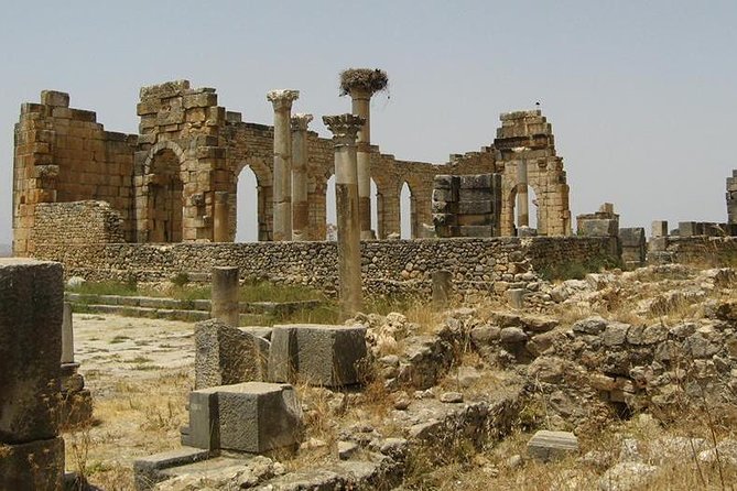 Day Trip From Fes To Volubilis Moulay Idriss & Meknes Overview Of The Day Trip